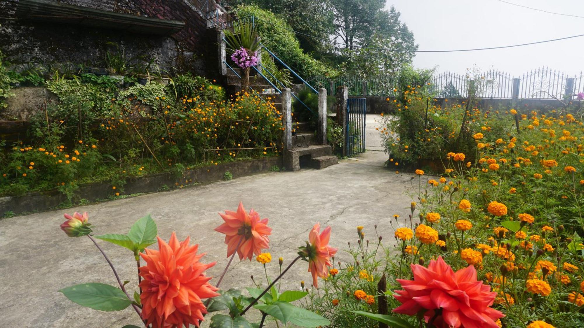 Tranquil Retreat Homestay Ghum Kültér fotó