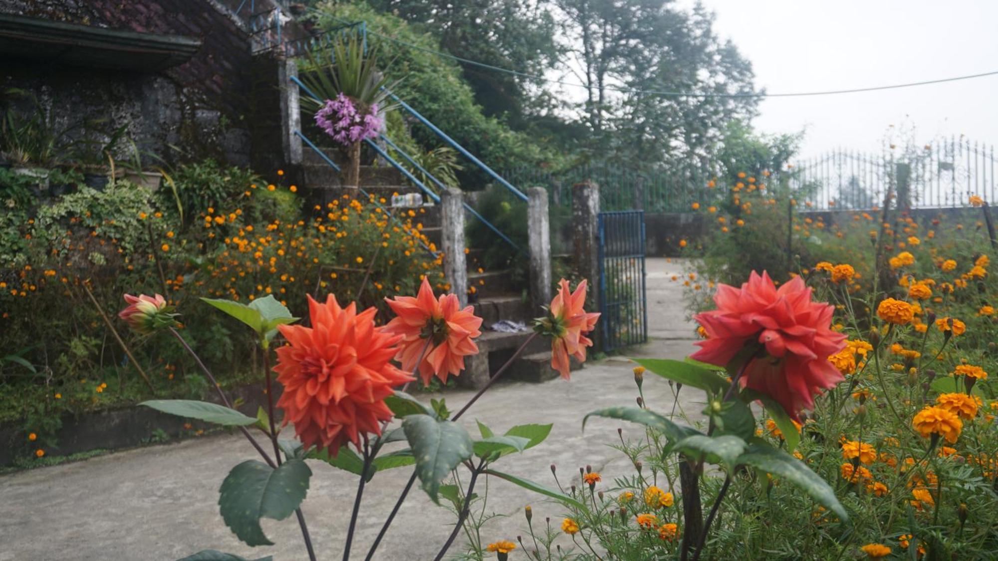 Tranquil Retreat Homestay Ghum Kültér fotó